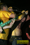 Gallery image 9