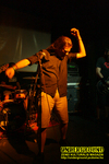 Gallery image 32