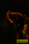 Gallery image 21
