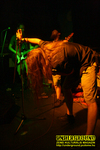 Gallery image 20