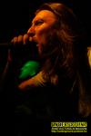 Gallery image 29