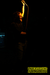 Gallery image 12