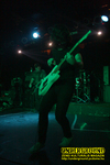 Gallery image 27