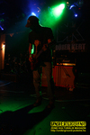 Gallery image 13