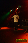 Gallery image 12