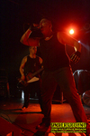 Gallery image 11