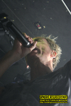 Gallery image 21