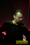 Gallery image 19