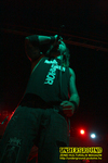 Gallery image 20