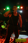 Gallery image 21