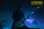 Gallery image 21