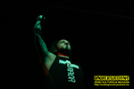 Gallery image 23
