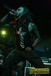 Gallery image 24