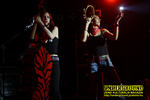 Gallery image 38