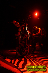 Gallery image 50