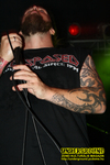 Gallery image 20