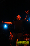 Gallery image 39