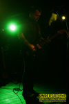 Gallery image 52