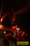 Gallery image 55