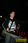 Gallery image 38