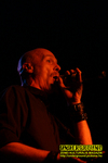 Gallery image 65