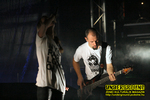 Gallery image 69
