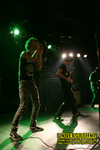 Gallery image 13