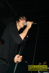 Gallery image 22