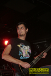 Gallery image 30