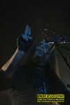 Gallery image 24