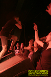 Gallery image 39