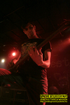 Gallery image 52
