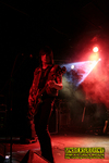 Gallery image 53