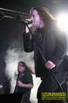 Gallery image 11