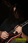 Gallery image 50