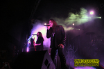 Gallery image 25