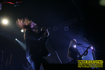 Gallery image 31