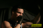 Gallery image 31