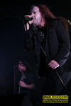 Gallery image 34