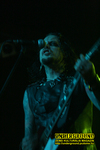 Gallery image 10