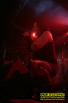 Gallery image 50