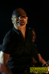 Gallery image 23