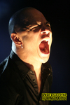 Gallery image 21