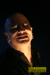 Gallery image 20