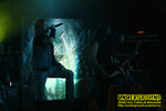 Gallery image 22
