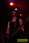 Gallery image 12