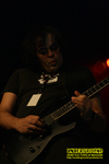Gallery image 39