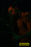 Gallery image 10