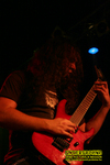 Gallery image 39