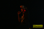 Gallery image 20